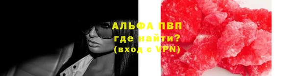 крисы Бронницы