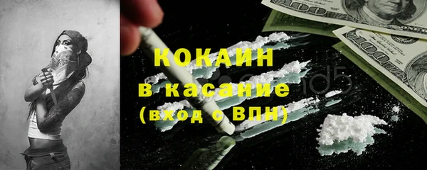 крисы Бронницы