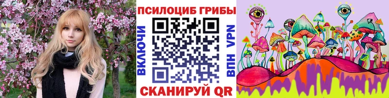 Псилоцибиновые грибы Psilocybine cubensis  цены   ссылка на мегу зеркало  Устюжна 